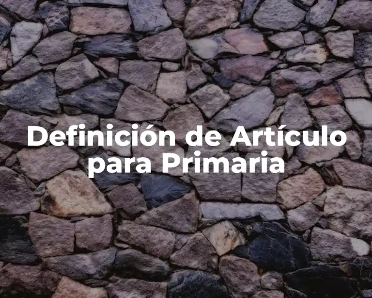 Definición de Artículo para Primaria