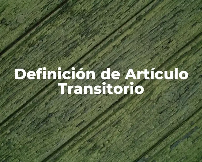 Definición de Artículo Transitorio
