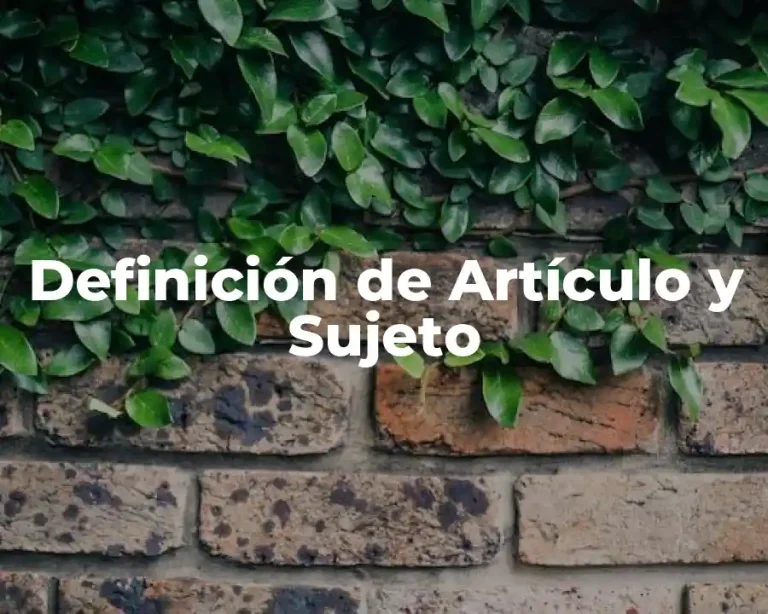 Definición de Artículo y Sujeto