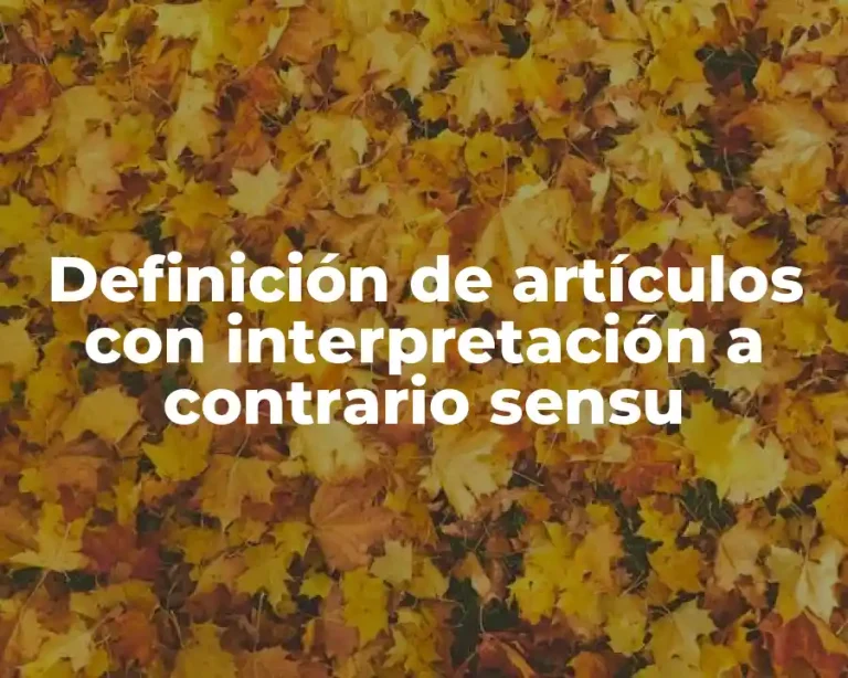 Definición de artículos con interpretación a contrario sensu