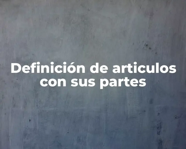 Definición de articulos con sus partes