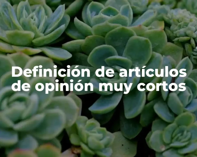Definición de artículos de opinión muy cortos
