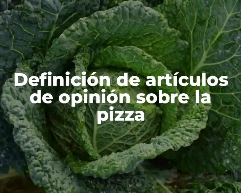 Definición de artículos de opinión sobre la pizza