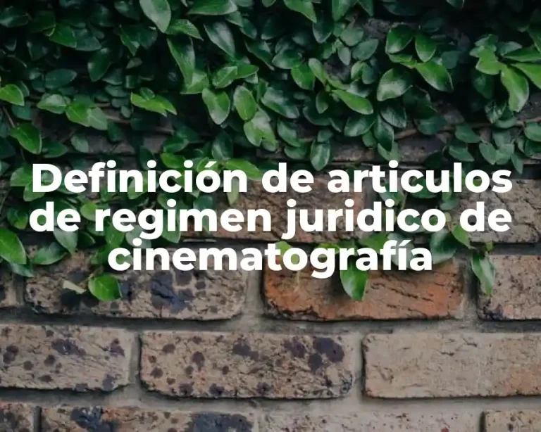 Definición de articulos de regimen juridico de cinematografía