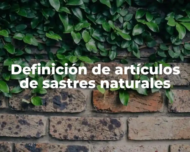 Definición de artículos de sastres naturales