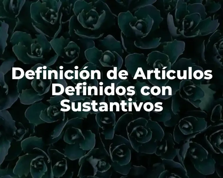 Definición de Artículos Definidos con Sustantivos