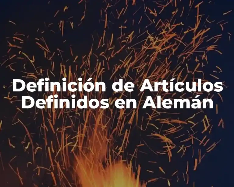 Definición de Artículos Definidos en Alemán