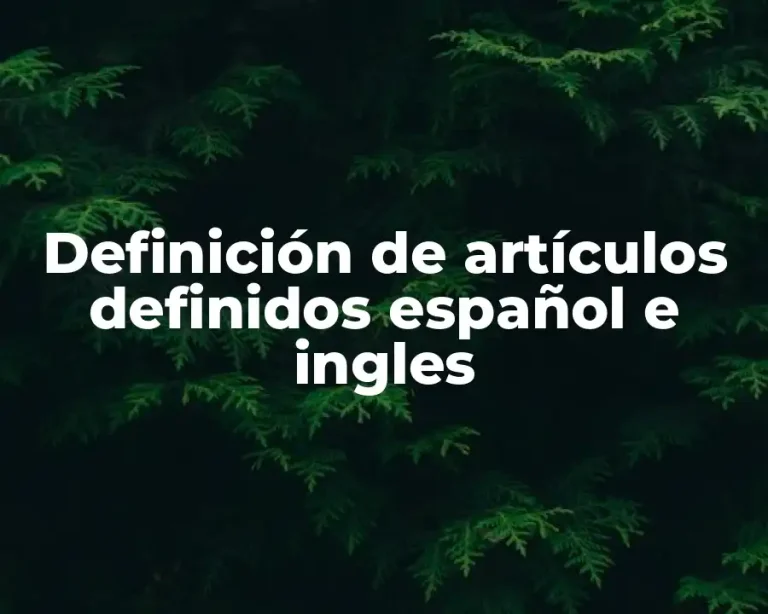 Definición de artículos definidos español e ingles