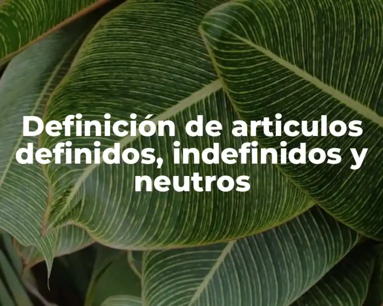 Definición de articulos definidos, indefinidos y neutros