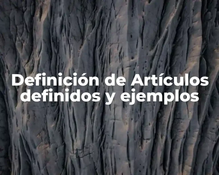 Definición de Artículos definidos y ejemplos