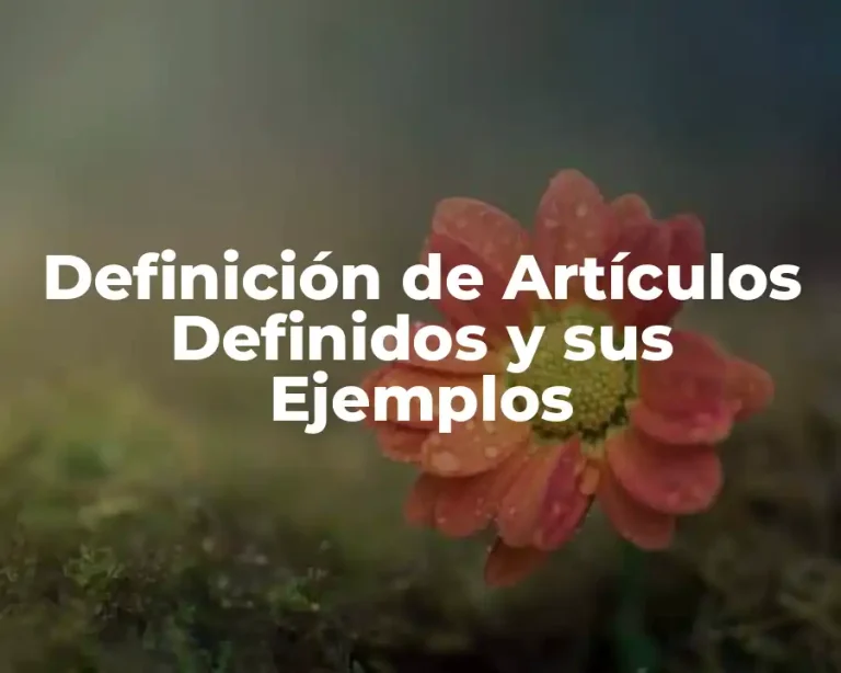 Definición de Artículos Definidos y sus Ejemplos