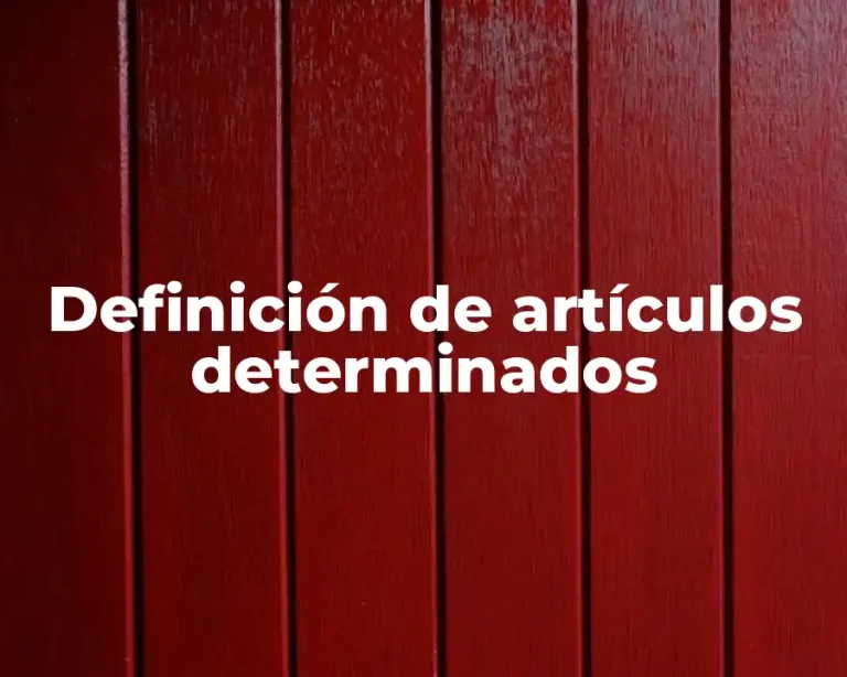 Definición de artículos determinados