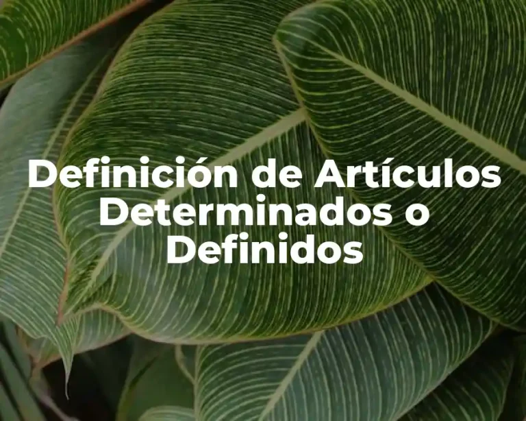 Definición de Artículos Determinados o Definidos