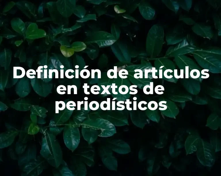 Definición de artículos en textos de periodísticos