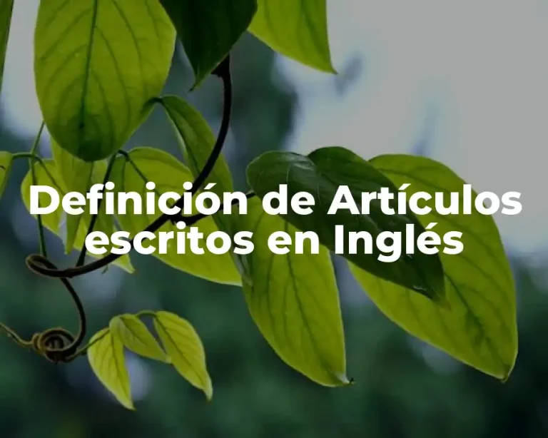 Definición de Artículos escritos en Inglés