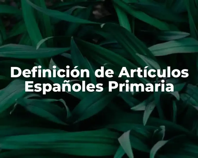 Definición de Artículos Españoles Primaria