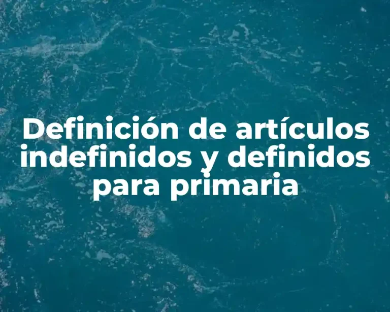 Definición de artículos indefinidos y definidos para primaria