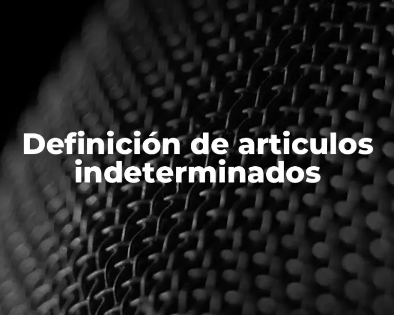 Definición de articulos indeterminados