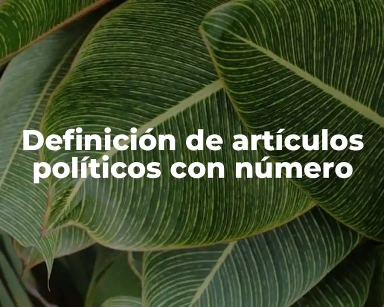 Definición de artículos políticos con número