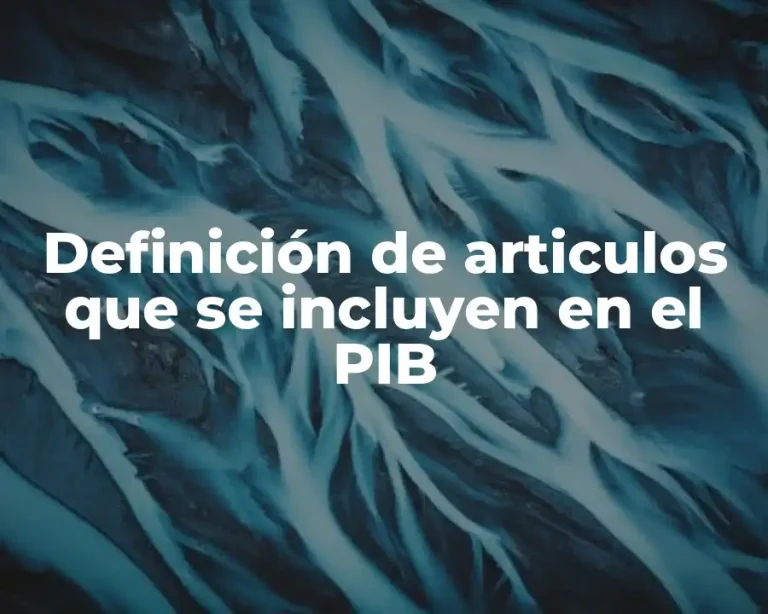 Definición de articulos que se incluyen en el PIB