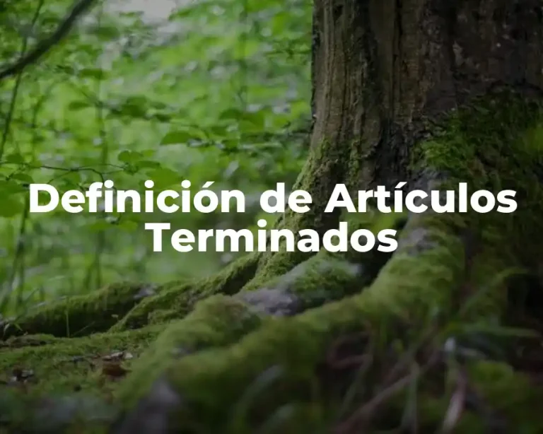 Definición de Artículos Terminados