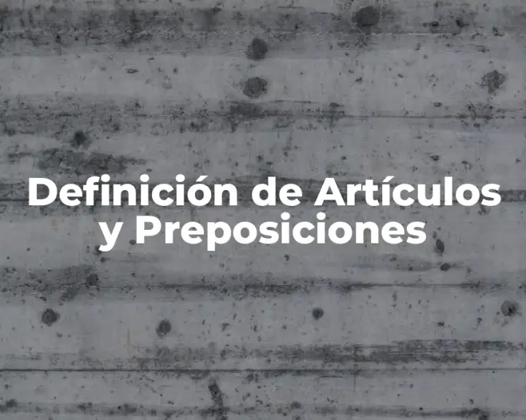 Definición de Artículos y Preposiciones