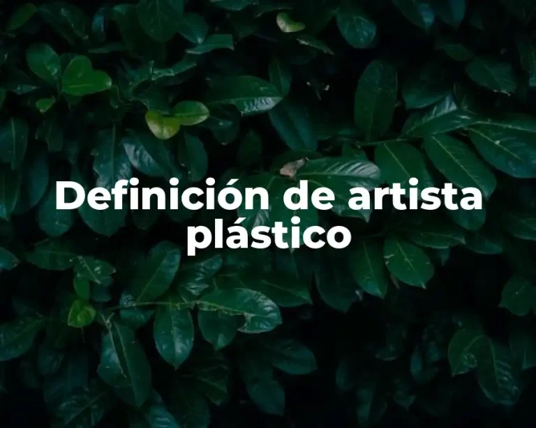 Definición de artista plástico