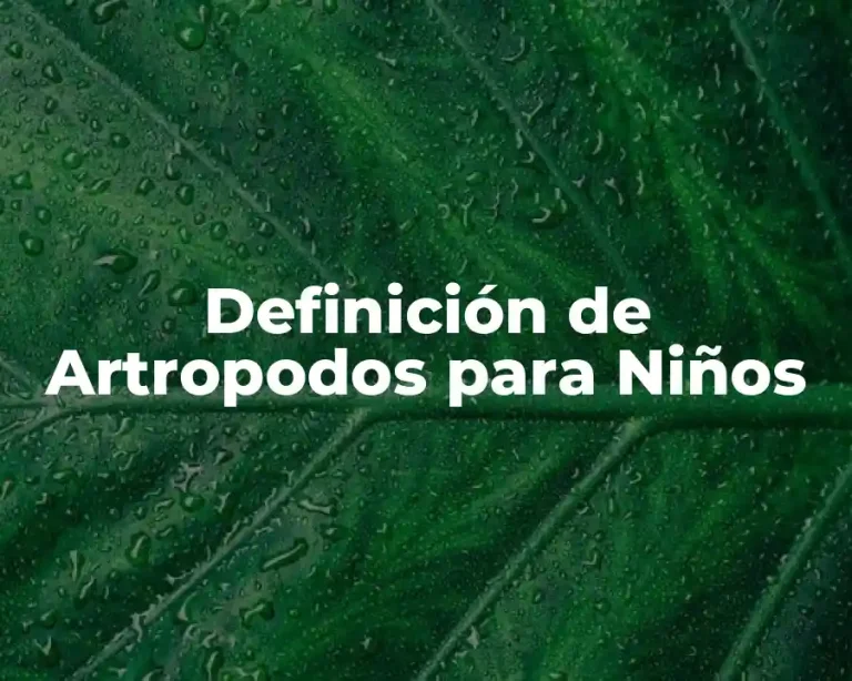 Definición de Artropodos para Niños
