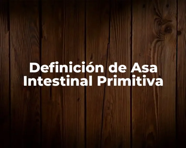 Definición de Asa Intestinal Primitiva