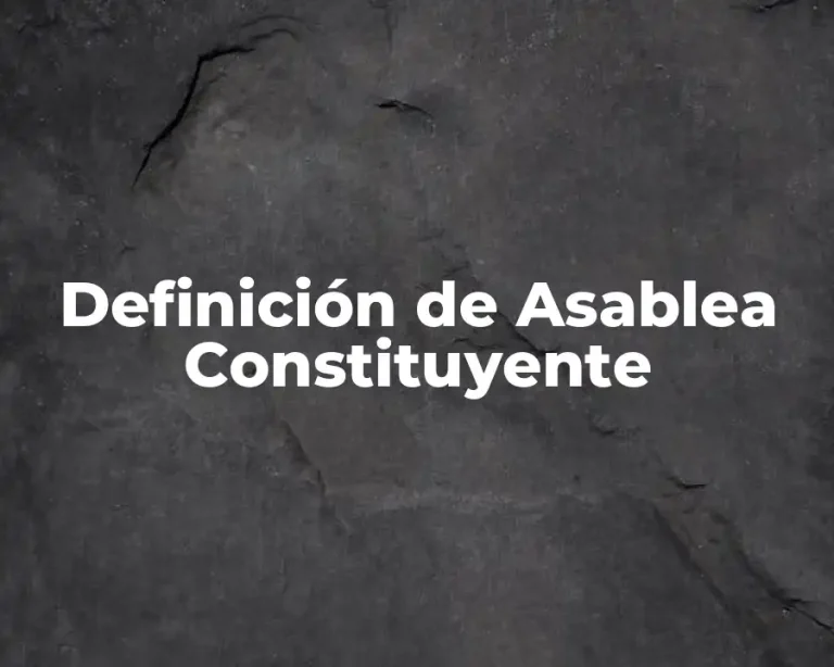 Definición de Asablea Constituyente