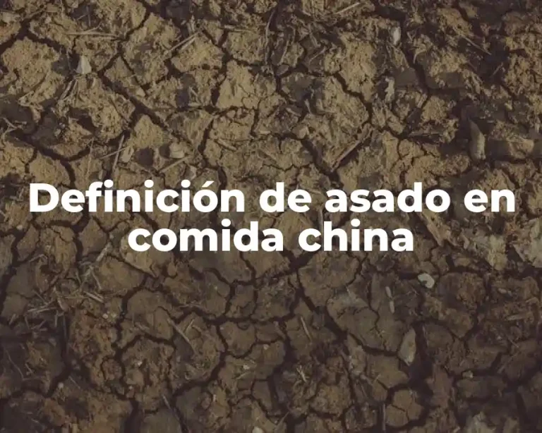 Definición de asado en comida china