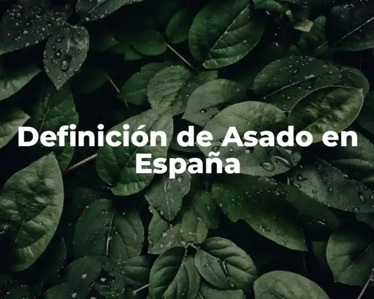 Definición de Asado en España