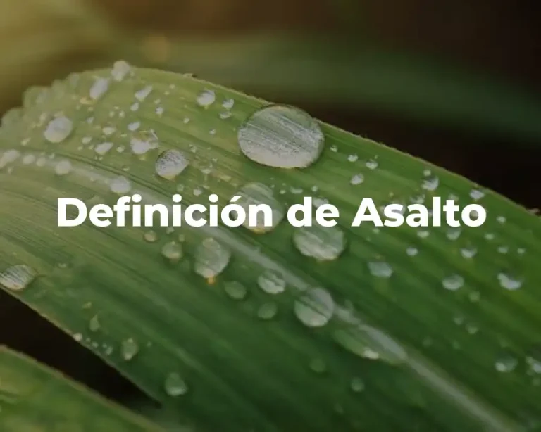 Definición de Asalto