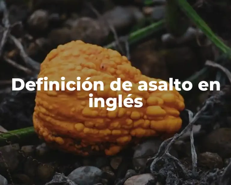 Definición de asalto en inglés