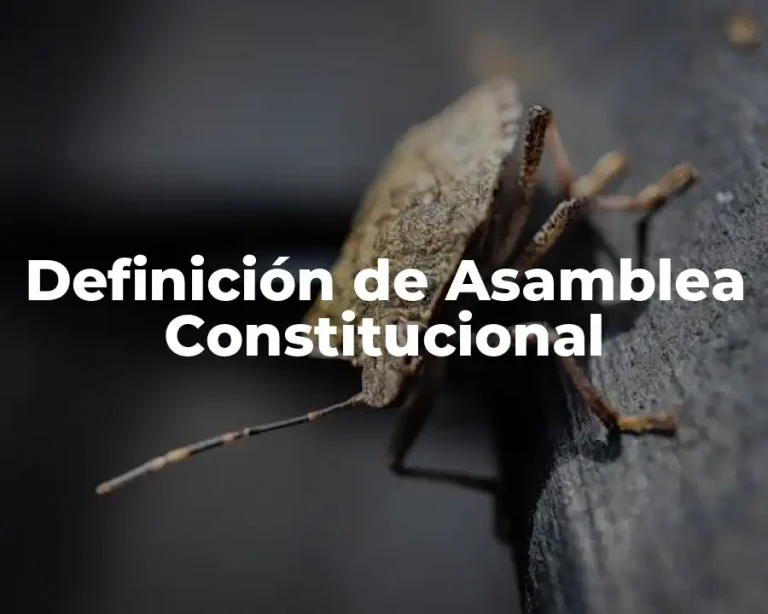 Definición de Asamblea Constitucional