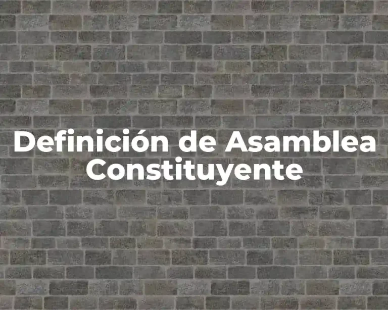 Definición de Asamblea Constituyente
