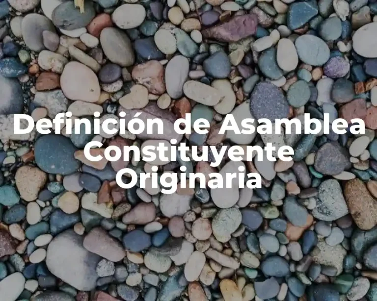 Definición de Asamblea Constituyente Originaria