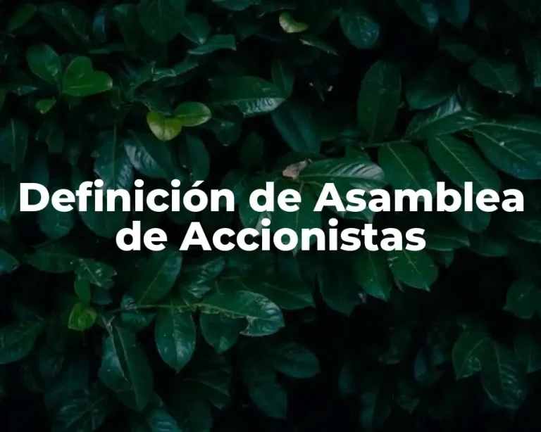 Definición de Asamblea de Accionistas