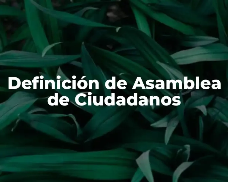 Definición de Asamblea de Ciudadanos