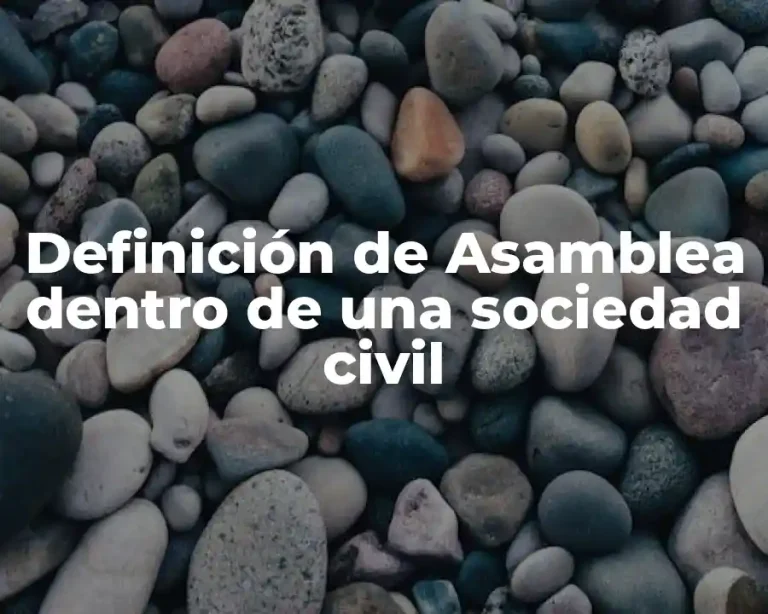 Definición de Asamblea dentro de una sociedad civil
