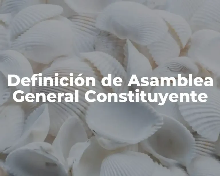 Definición de Asamblea General Constituyente