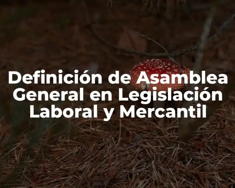 Definición de Asamblea General en Legislación Laboral y Mercantil