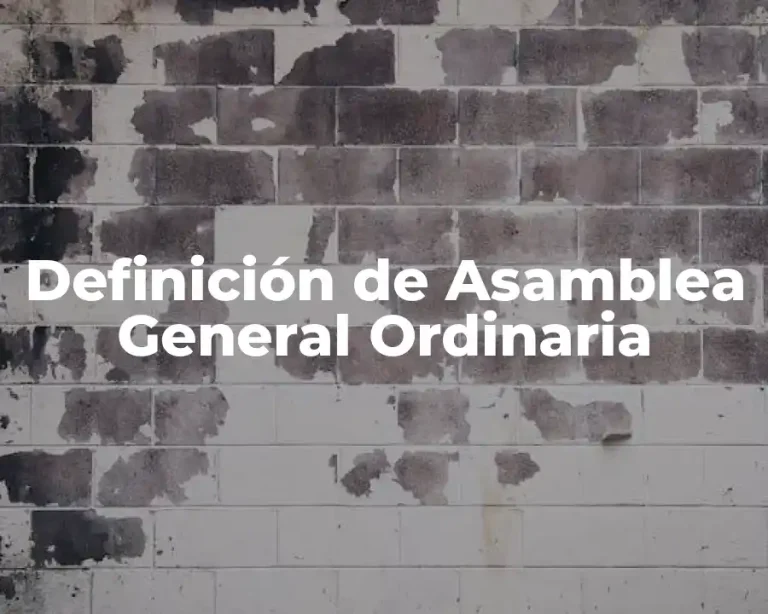 Definición de Asamblea General Ordinaria