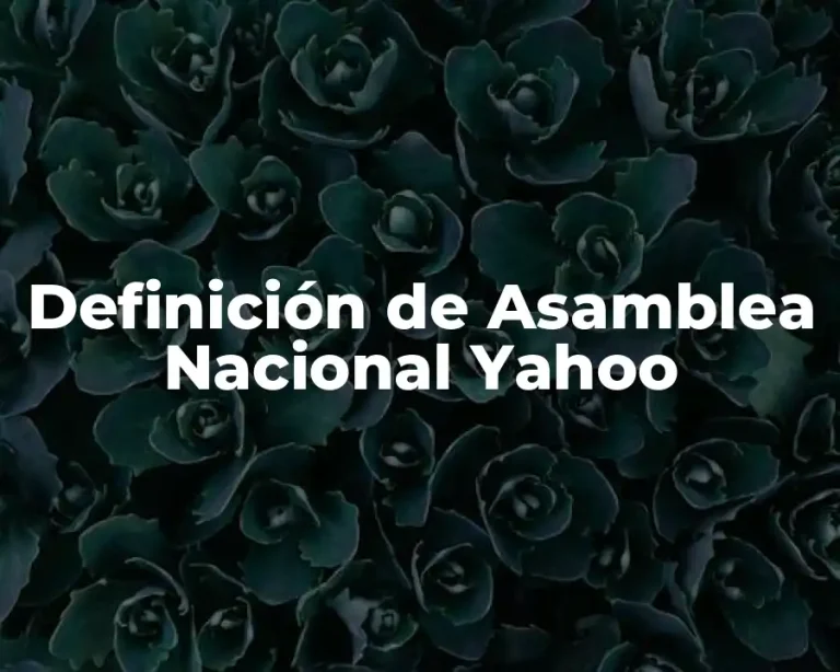 Definición de Asamblea Nacional Yahoo