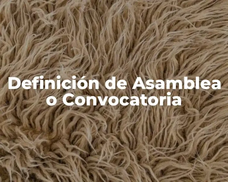 Definición de Asamblea o Convocatoria