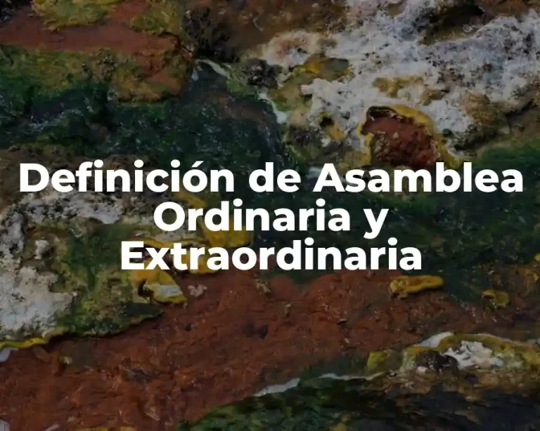 Definición de Asamblea Ordinaria y Extraordinaria
