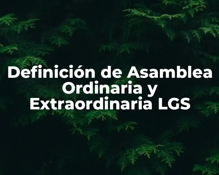 Definición de Asamblea Ordinaria y Extraordinaria LGS