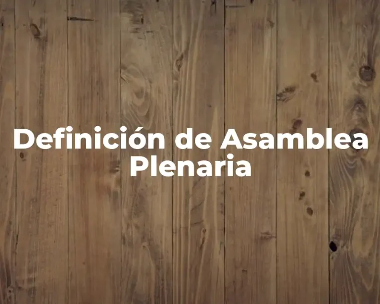Definición de Asamblea Plenaria
