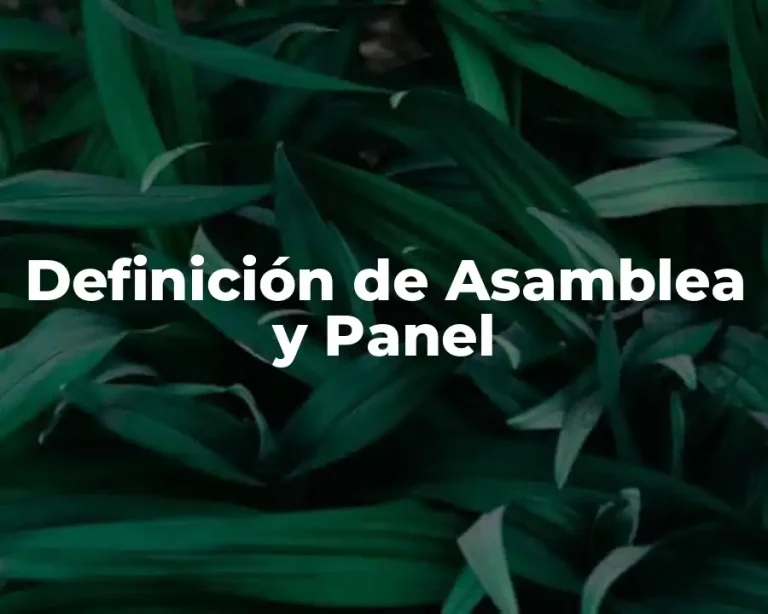Definición de Asamblea y Panel