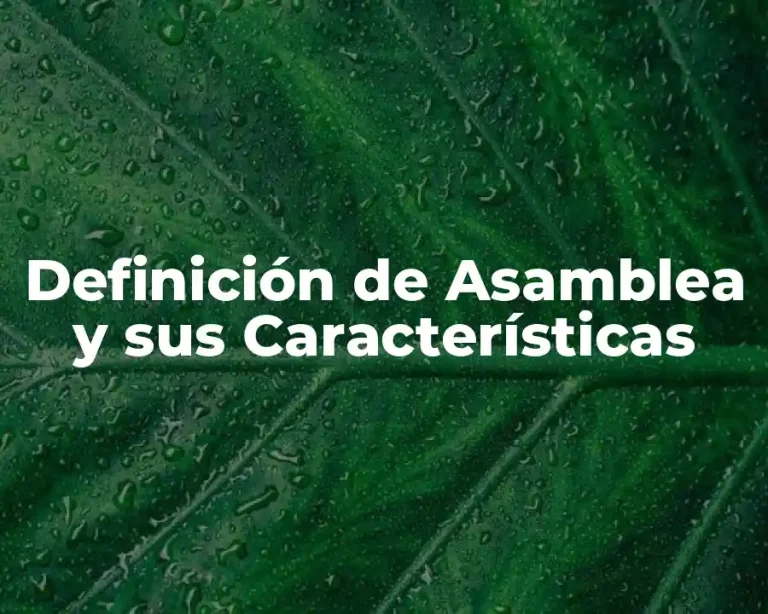 Definición de Asamblea y sus Características